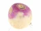 Gioco Turnip in linea