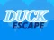 Gioco Duck Escape in linea