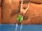 Gioco Ragdoll Rock Climber in linea