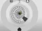 Gioco Balls Shooter in linea