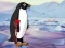 Gioco Heal the Wounded Penguin in linea