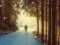 Gioco Winter Hidden Stars in linea