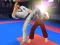 Gioco Karate Fighter in linea