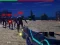 Gioco Zombie Survivor in linea
