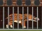 Gioco  Andrewsarchus Release from Cage in linea