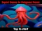 Gioco Squid Game In Dalgona Panic in linea