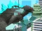 Gioco Giant Wanted Monster in linea