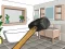 Gioco Smash The Room To Pieces in linea
