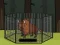 Gioco Rescue the Bison from Cage in linea