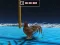 Gioco Animal Impossible Track Rush in linea
