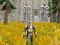 Gioco Axe Of The Ancients Dwarven Fury in linea