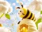 Gioco Find The Differences: Little Bee's Adventure in linea