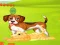 Gioco Bunny Key Quest in linea