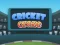 Gioco Cricket Craze in linea