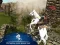 Gioco Ertugrul Gazi Horse Sim in linea