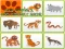 Gioco Wild Animals Kids Memory game in linea