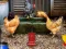 Gioco Poultry Farm Easter Escape in linea