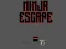 Gioco Ninja escape in linea