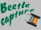 Gioco Beetle Capture in linea