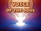 Gioco Voice Of The Soul in linea