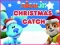 Gioco Nick Jr. Christmas Catch in linea