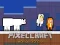 Gioco PixelCraft Animal School in linea