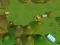 Gioco Worms Combat Coop in linea