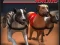 Gioco Greyhound Racing in linea