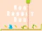 Gioco Run Rabbit Run in linea