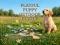Gioco Playful Puppy Outdoor Puzzle in linea