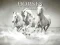 Gioco Horses Puzzle in linea