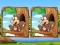 Gioco Jungle 5 Diffs in linea