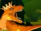 Gioco The Dino King in linea