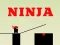 Gioco Ninja go in linea