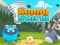 Gioco Bunny Storm in linea