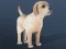 Gioco IDLE Pet in linea
