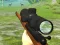 Gioco Hunter 3D in linea