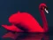 Gioco Love Birds Puzzle in linea