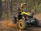 Gioco ATV Offroad Puzzle in linea