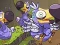 Gioco Save The Dodos in linea
