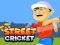 Gioco Street Cricket in linea