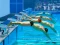 Gioco Swimming Pool Race in linea