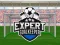 Gioco Expert Goalkeeper in linea
