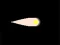 Gioco Particle in linea