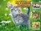 Gioco Kittens Jigsaw in linea