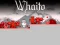Gioco Whaito in linea