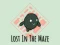 Gioco Lost In The Maze in linea