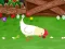 Gioco Stupid Chicken in linea
