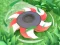 Gioco Cut Grass in linea