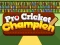 Gioco Pro Cricket Champion in linea